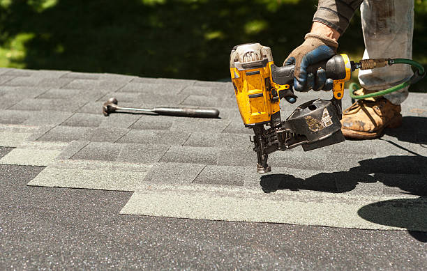 Best Roof Moss and Algae Removal  in Poquoson, VA